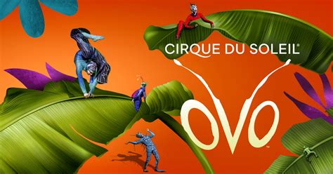 ovo lausanne|OVO : Spectacle de tournée. Voir billets et offres